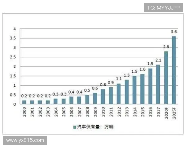 武汉排球队个人能力分析与表现评估研究报告 武汉排球队个人能力分析与表现评估研究报告