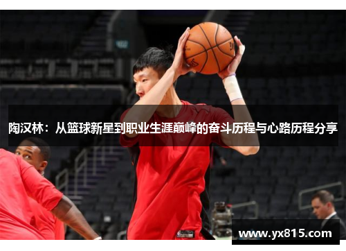 陶汉林：从篮球新星到职业生涯巅峰的奋斗历程与心路历程分享